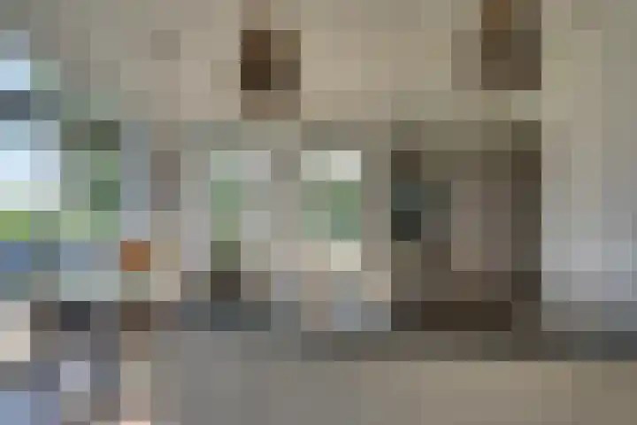 Ruisweg 89 Wemeldinge thumbnail 22