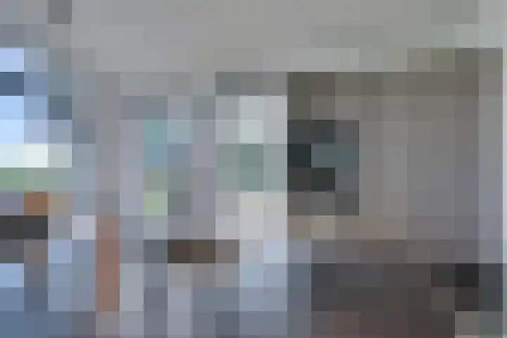 Ruisweg 89 Wemeldinge thumbnail 23