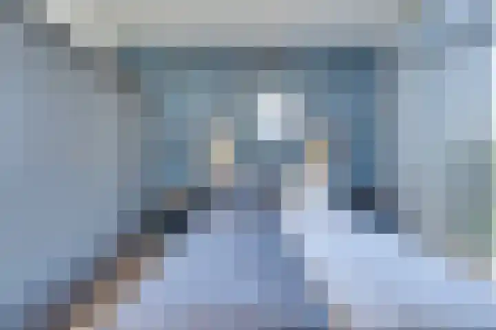 Ruisweg 89 Wemeldinge thumbnail 32