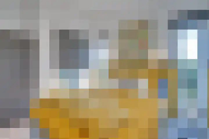 Ruisweg 89 Wemeldinge thumbnail 36