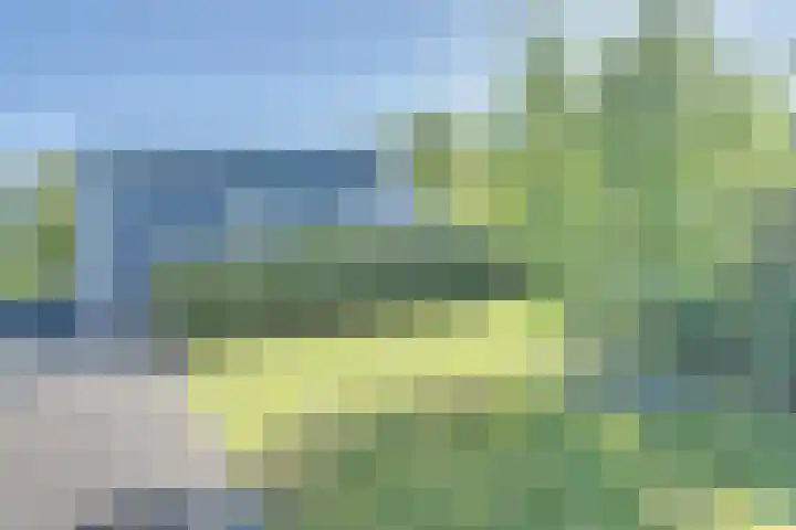Ruisweg 89 Wemeldinge thumbnail 40