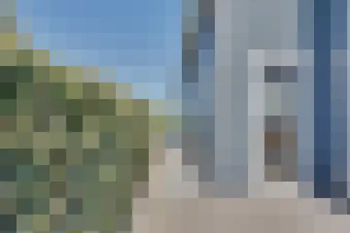 Ruisweg 89 Wemeldinge thumbnail 42