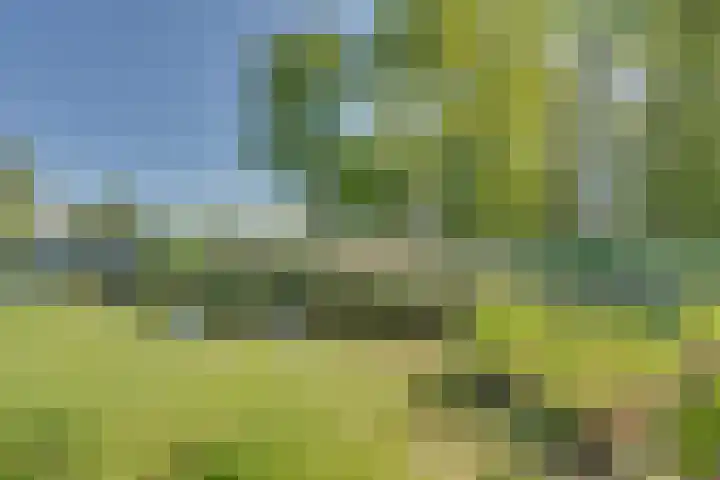 Ruisweg 89 Wemeldinge thumbnail 45