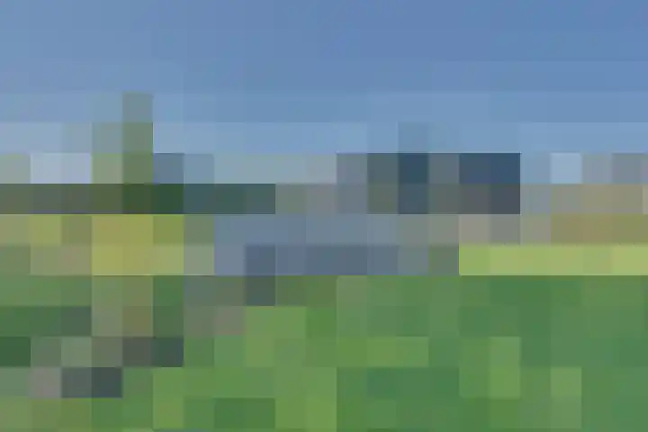 Ruisweg 89 Wemeldinge thumbnail 51