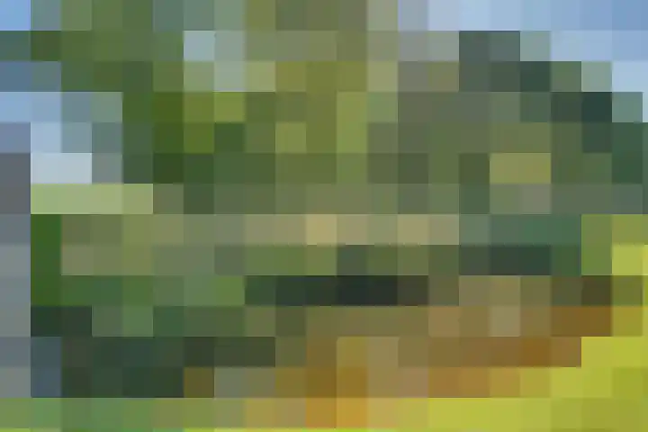 Ruisweg 89 Wemeldinge thumbnail 54