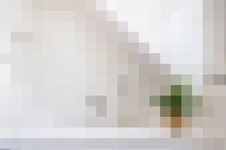 Ruiten A Kanaal West 12 Veelerveen thumbnail 17