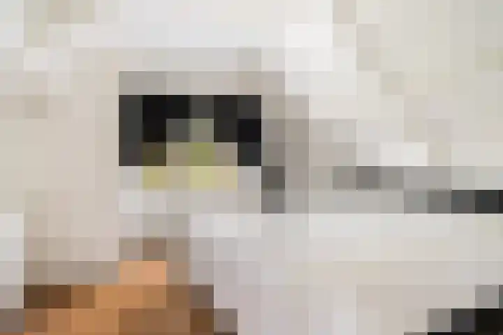 Ruiten A Kanaal West 12 Veelerveen thumbnail 22