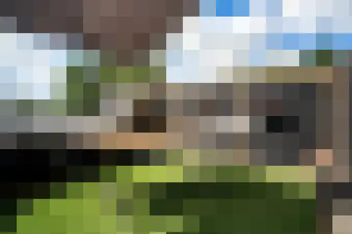 Ruiten A Kanaal West 12 Veelerveen thumbnail 31