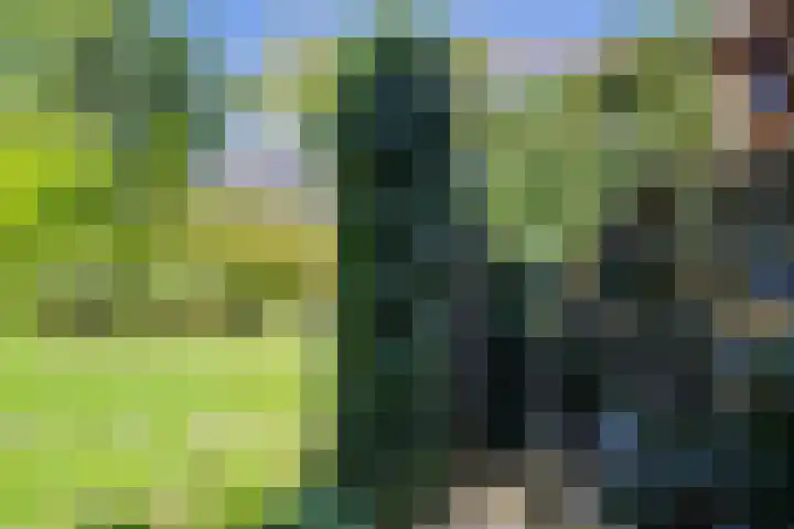 Ruiten A Kanaal West 12 Veelerveen thumbnail 39