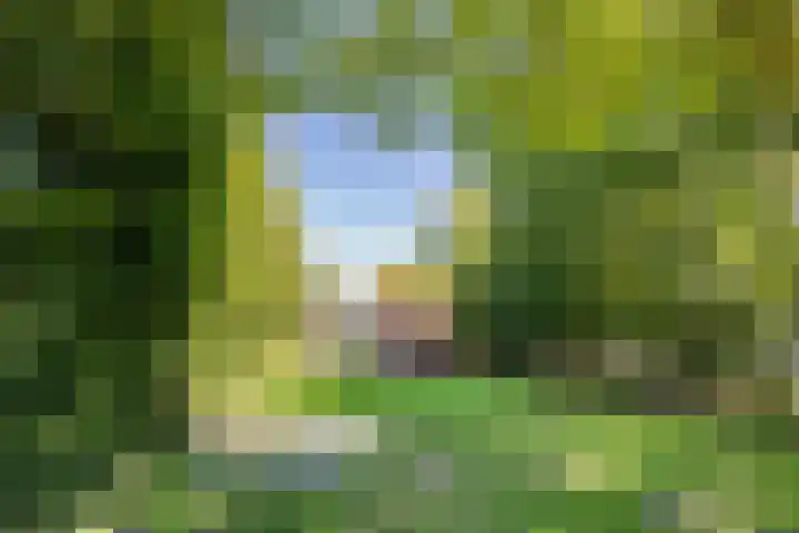 Ruiten A Kanaal West 12 Veelerveen thumbnail 40
