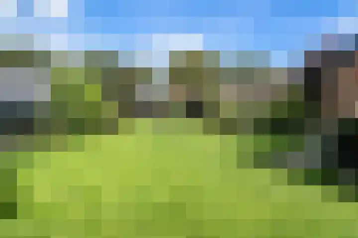 Ruiten A Kanaal West 12 Veelerveen thumbnail 41