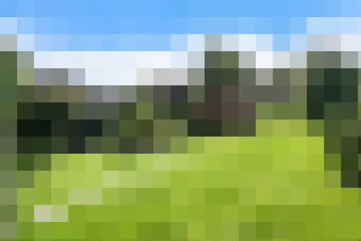 Ruiten A Kanaal West 12 Veelerveen thumbnail 42