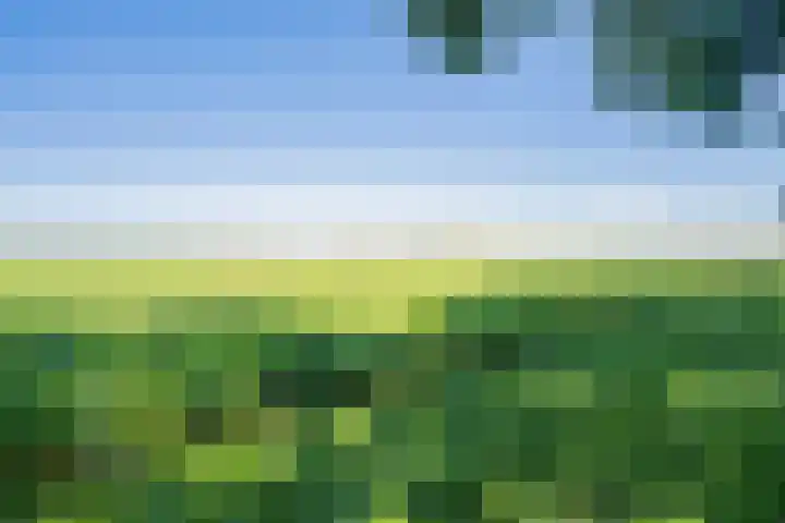 Ruiten A Kanaal West 12 Veelerveen thumbnail 45