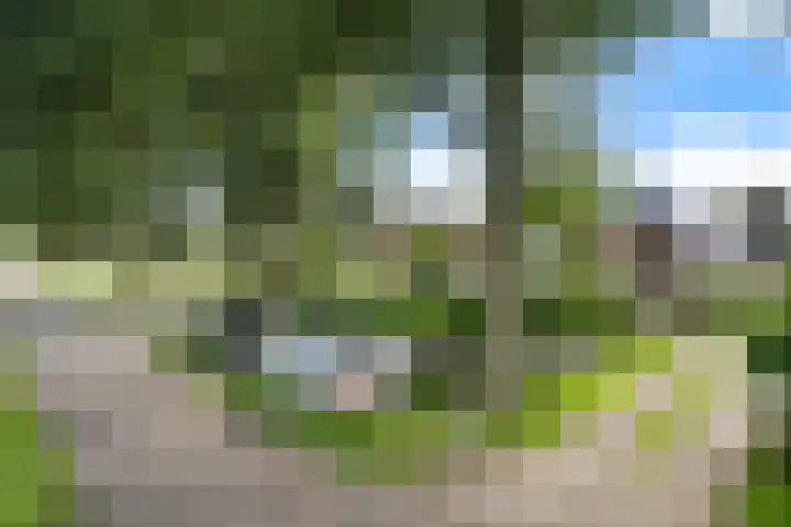 Ruiten A Kanaal West 12 Veelerveen thumbnail 47
