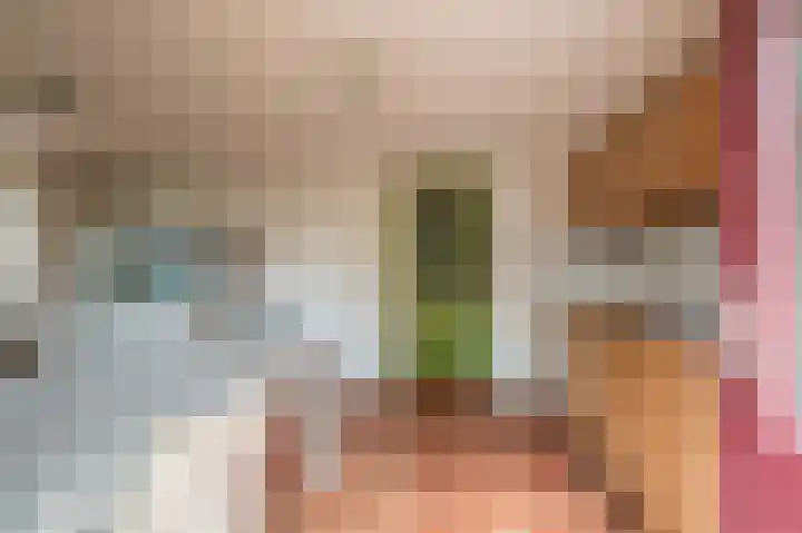 Ruiten A Kanaal West 14 Veelerveen thumbnail 15