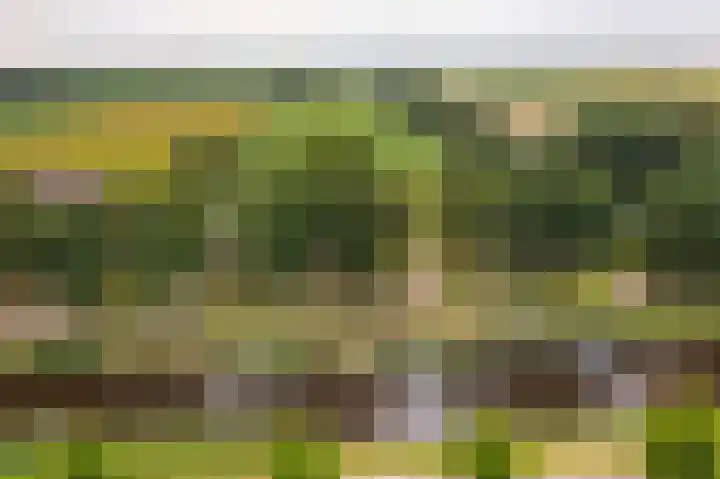 Ruiten A Kanaal West 14 Veelerveen thumbnail 27