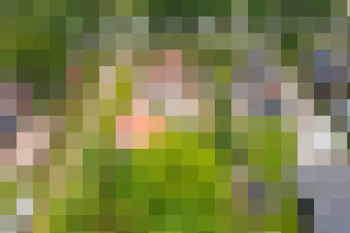 Ruiten A Kanaal West 14 Veelerveen thumbnail 28