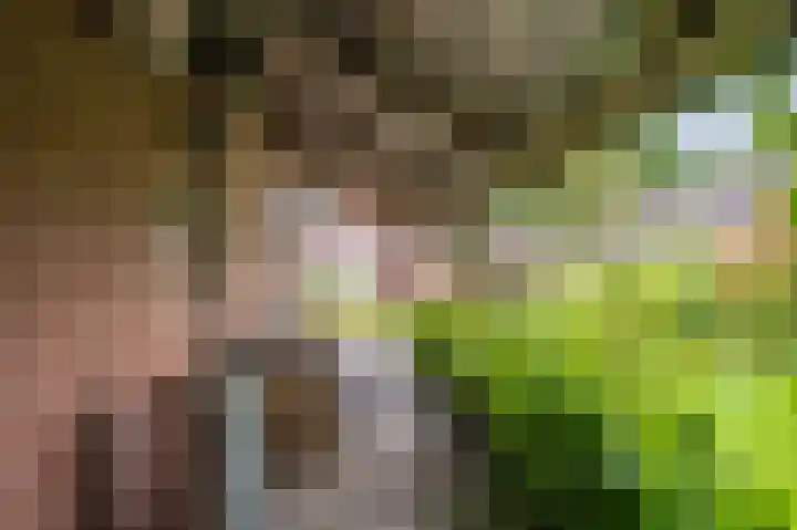 Ruiten A Kanaal West 14 Veelerveen thumbnail 34