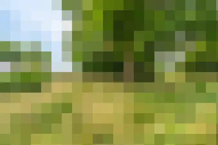 Ruiten A Kanaal West 14 Veelerveen thumbnail 35