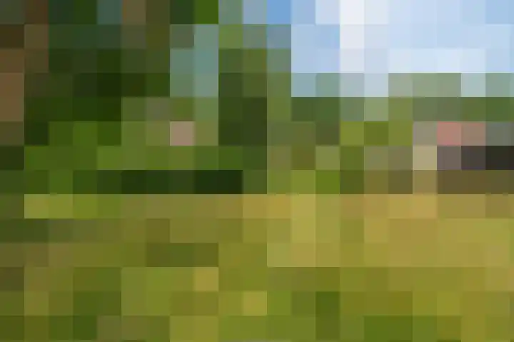 Ruiten A Kanaal West 14 Veelerveen thumbnail 36