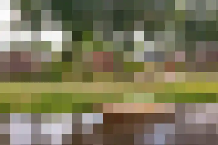 Ruiten A Kanaal West 14 Veelerveen thumbnail 38