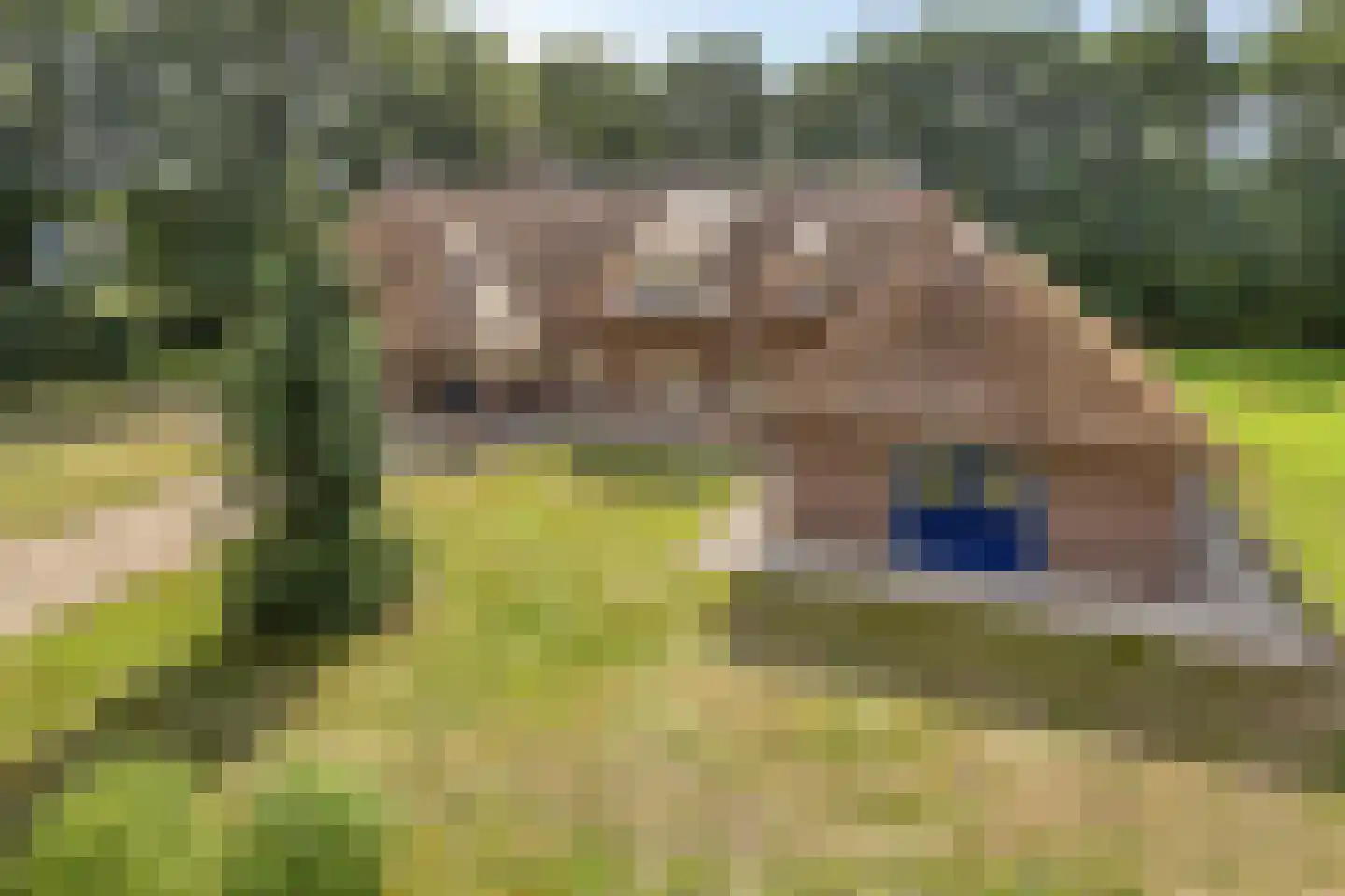 Ruiten A Kanaal West 17 Veelerveen thumbnail 102