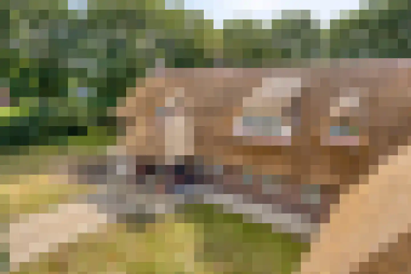 Ruiten A Kanaal West 17 Veelerveen thumbnail 103