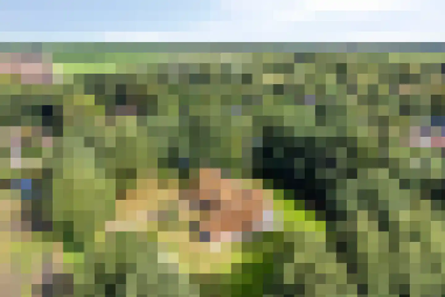 Ruiten A Kanaal West 17 Veelerveen thumbnail 105