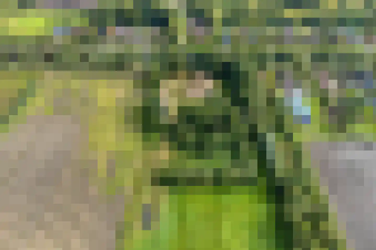 Ruiten A Kanaal West 17 Veelerveen thumbnail 106