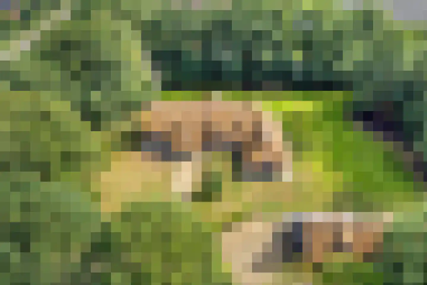 Ruiten A Kanaal West 17 Veelerveen thumbnail 112