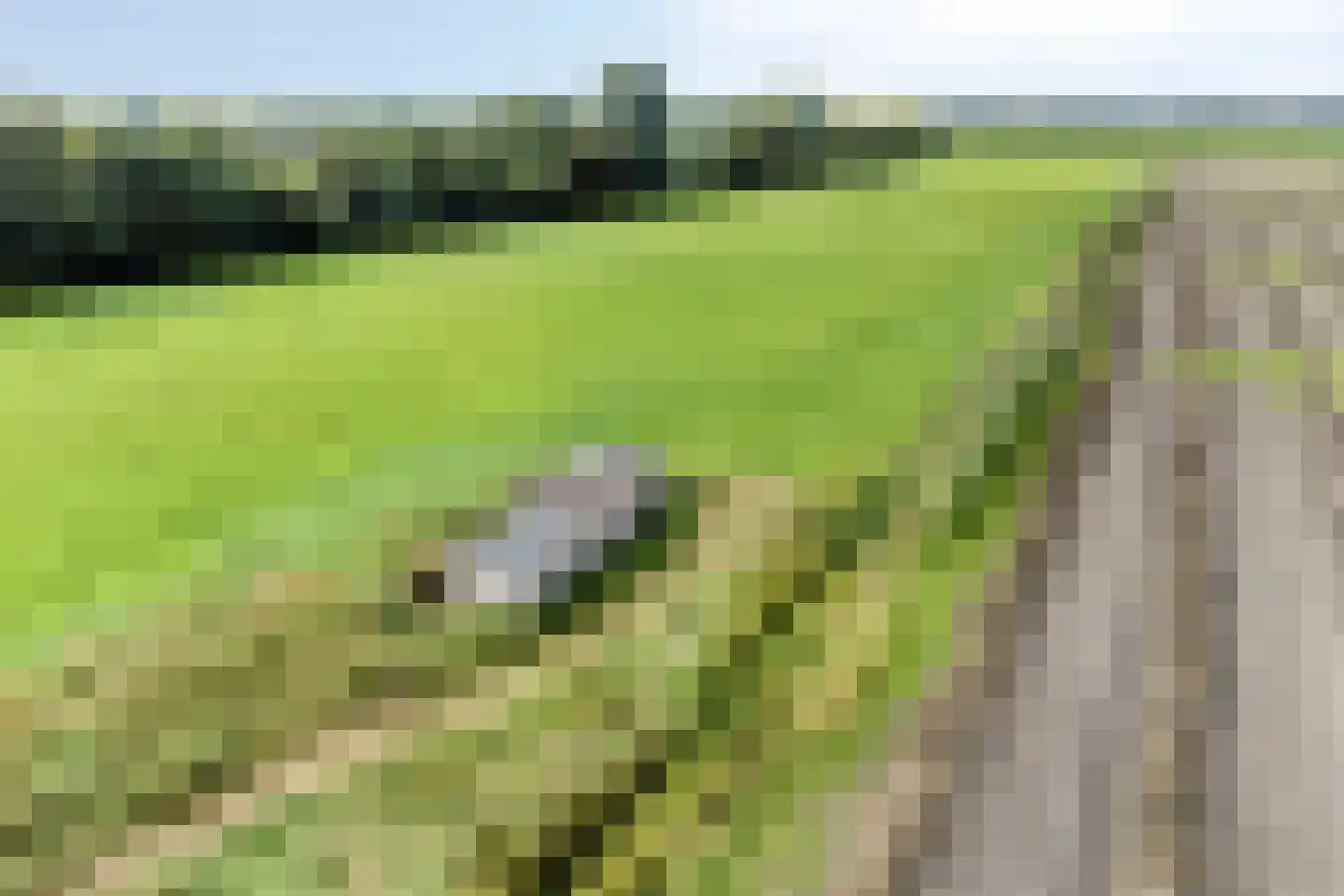 Ruiten A Kanaal West 17 Veelerveen thumbnail 115