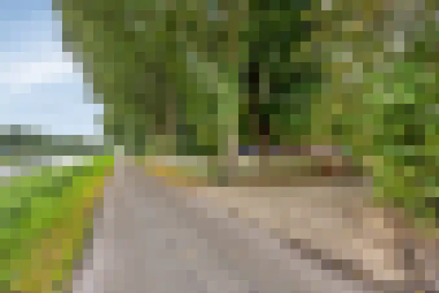 Ruiten A Kanaal West 17 Veelerveen thumbnail 122