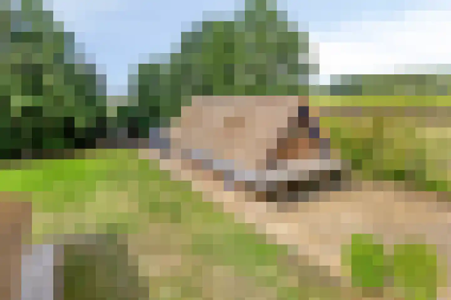 Ruiten A Kanaal West 17 Veelerveen thumbnail 77