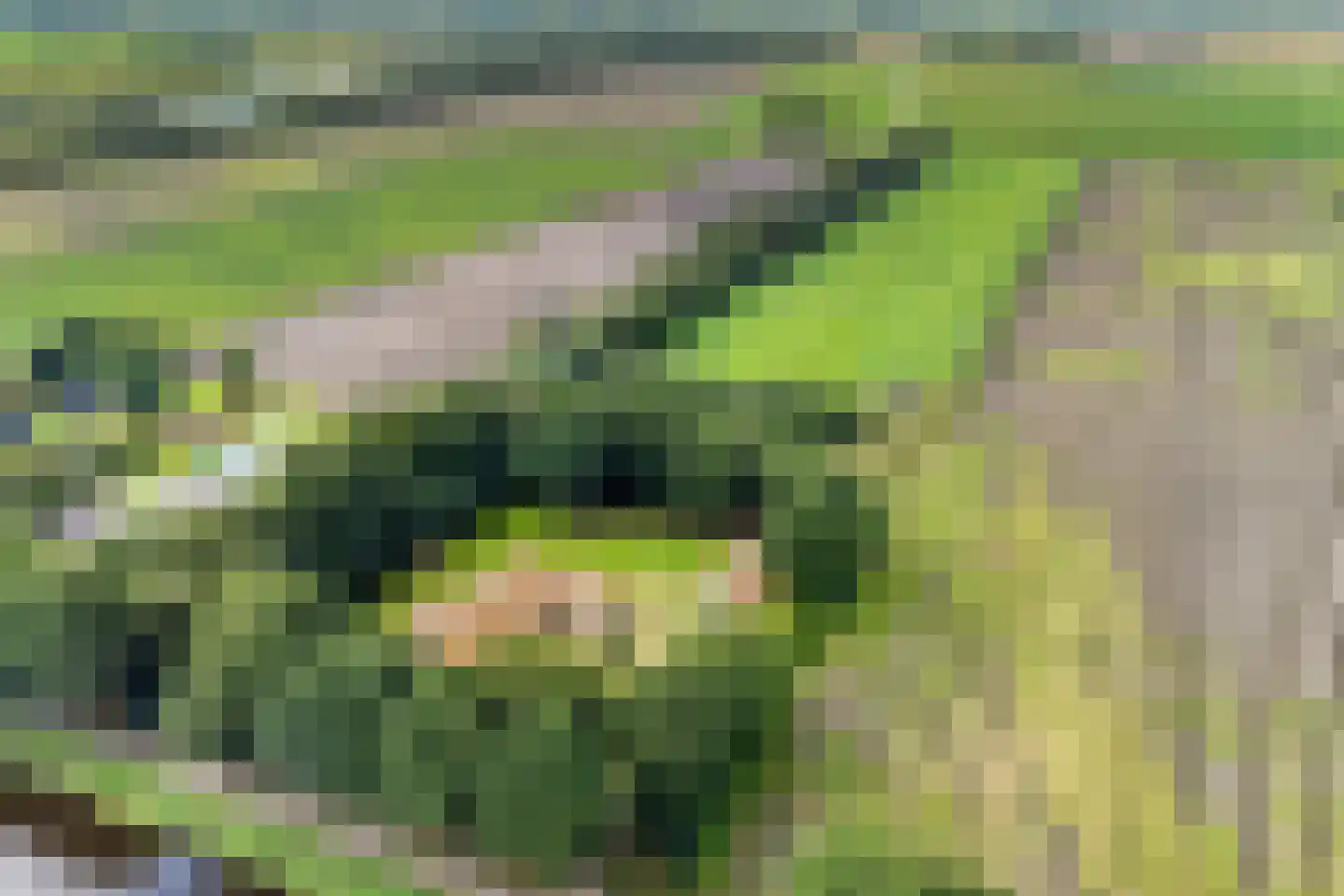 Ruiten A Kanaal West 17 Veelerveen thumbnail 9
