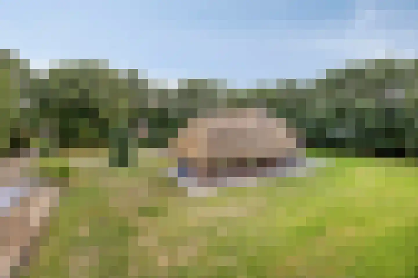 Ruiten A Kanaal West 17 Veelerveen thumbnail 92
