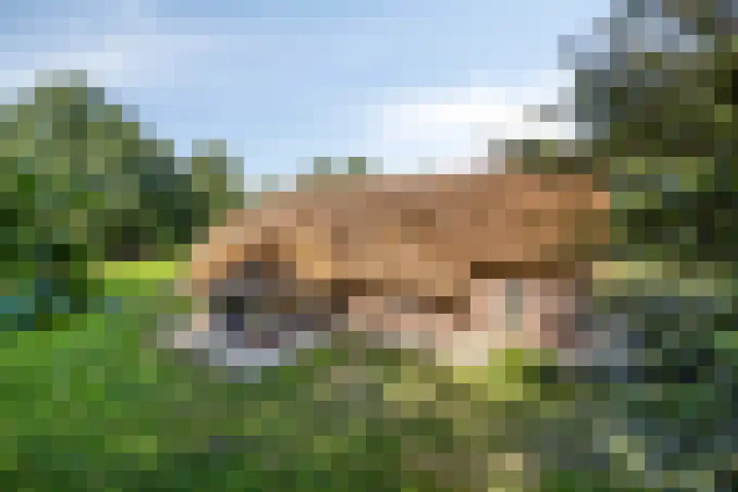 Ruiten A Kanaal West 17 Veelerveen thumbnail 98