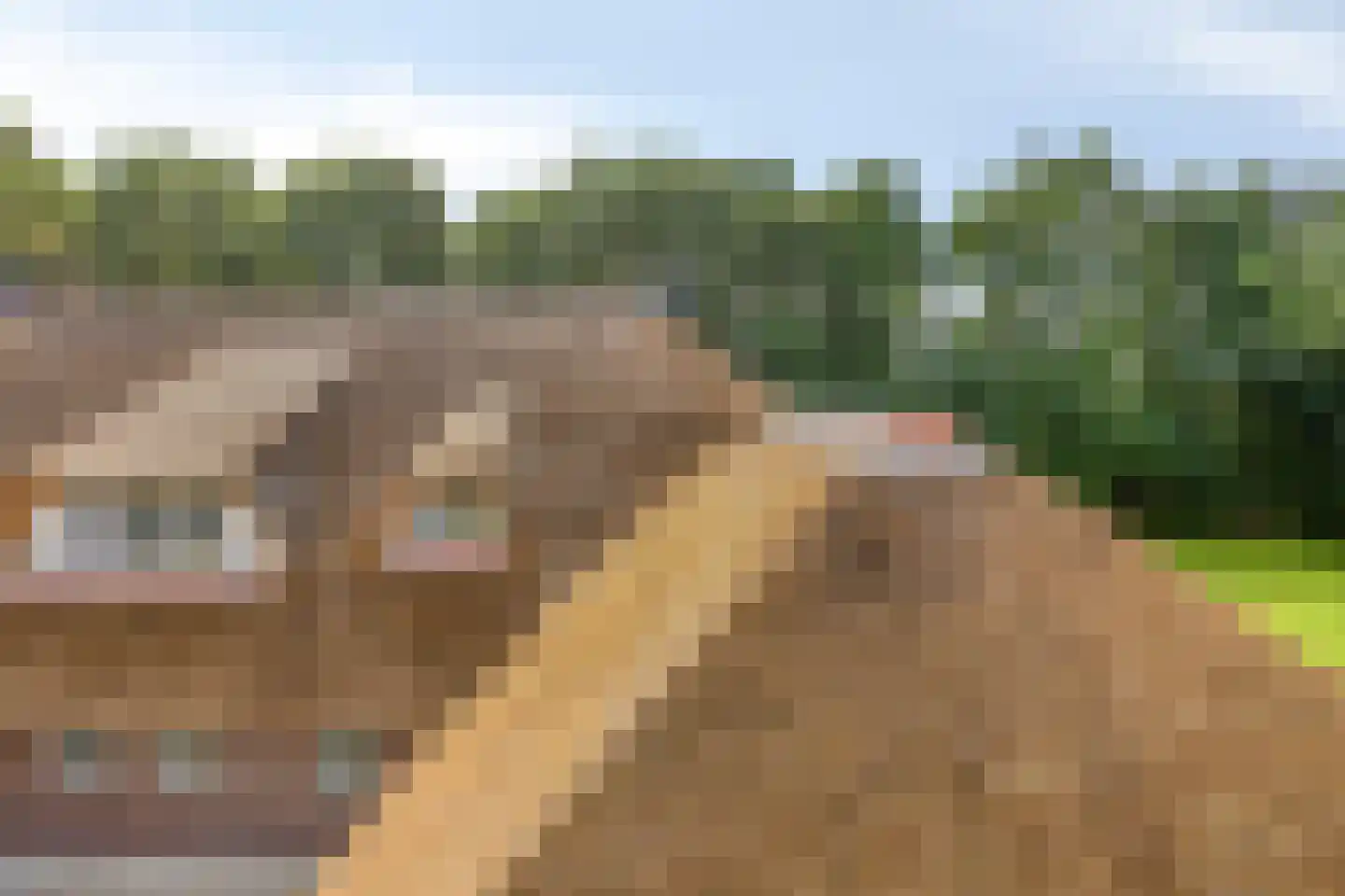 Ruiten A Kanaal West 17 Veelerveen thumbnail 99