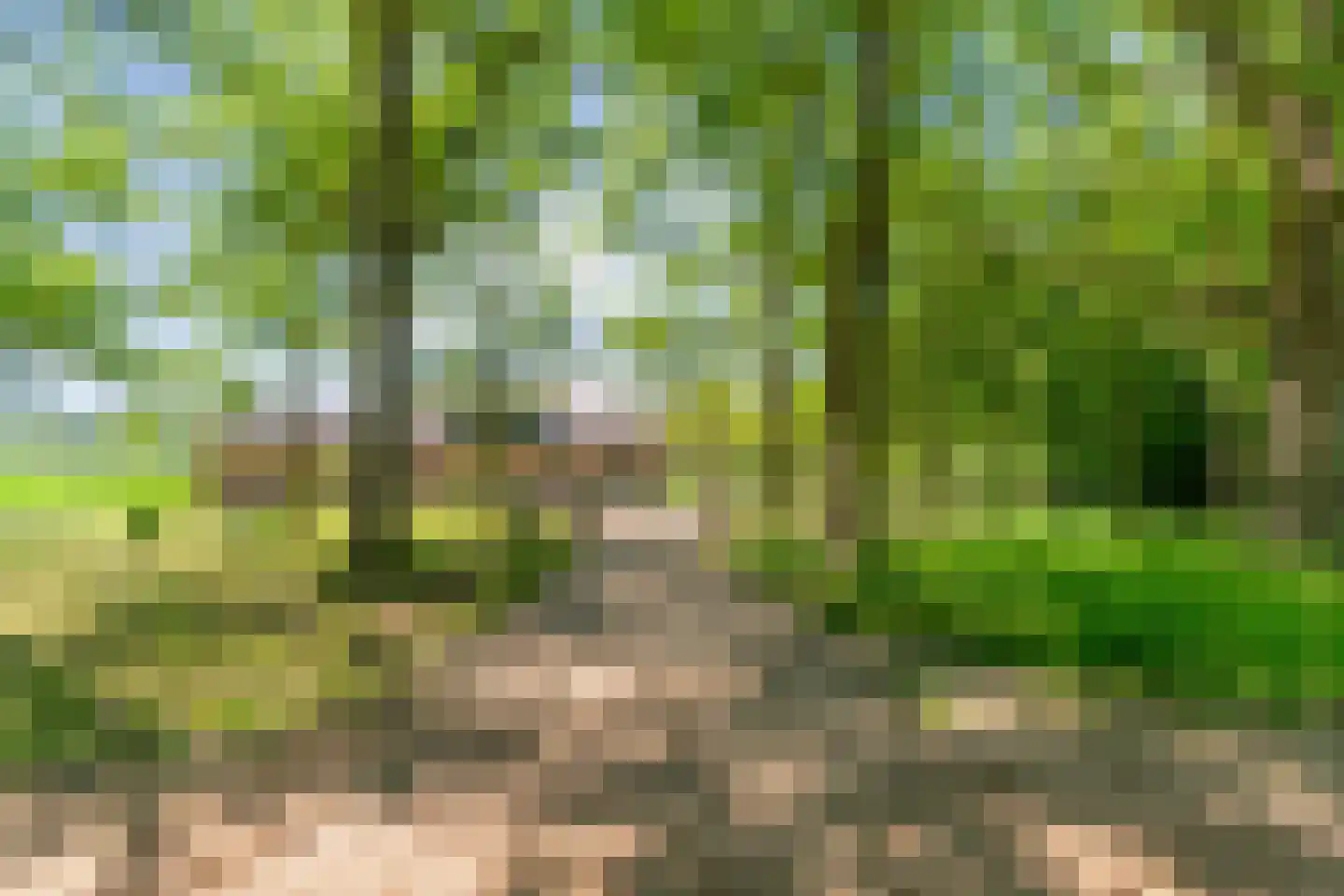Ruiten A kanaal West V 1 d Ter Apel thumbnail 10