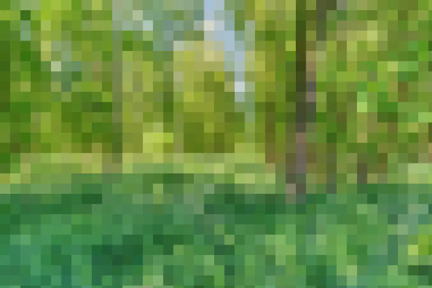 Ruiten A kanaal West V 1 d Ter Apel thumbnail 100