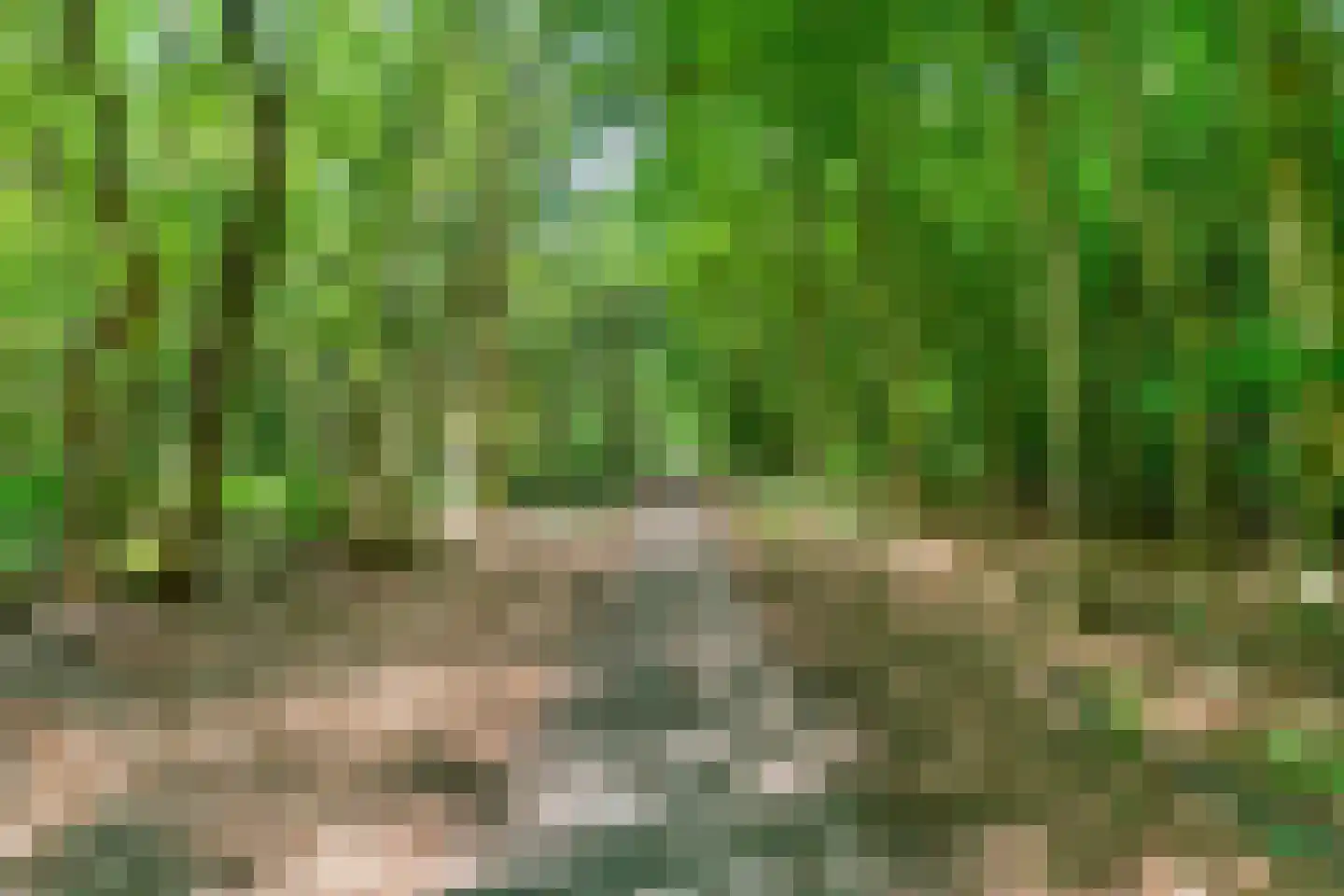 Ruiten A kanaal West V 1 d Ter Apel thumbnail 103