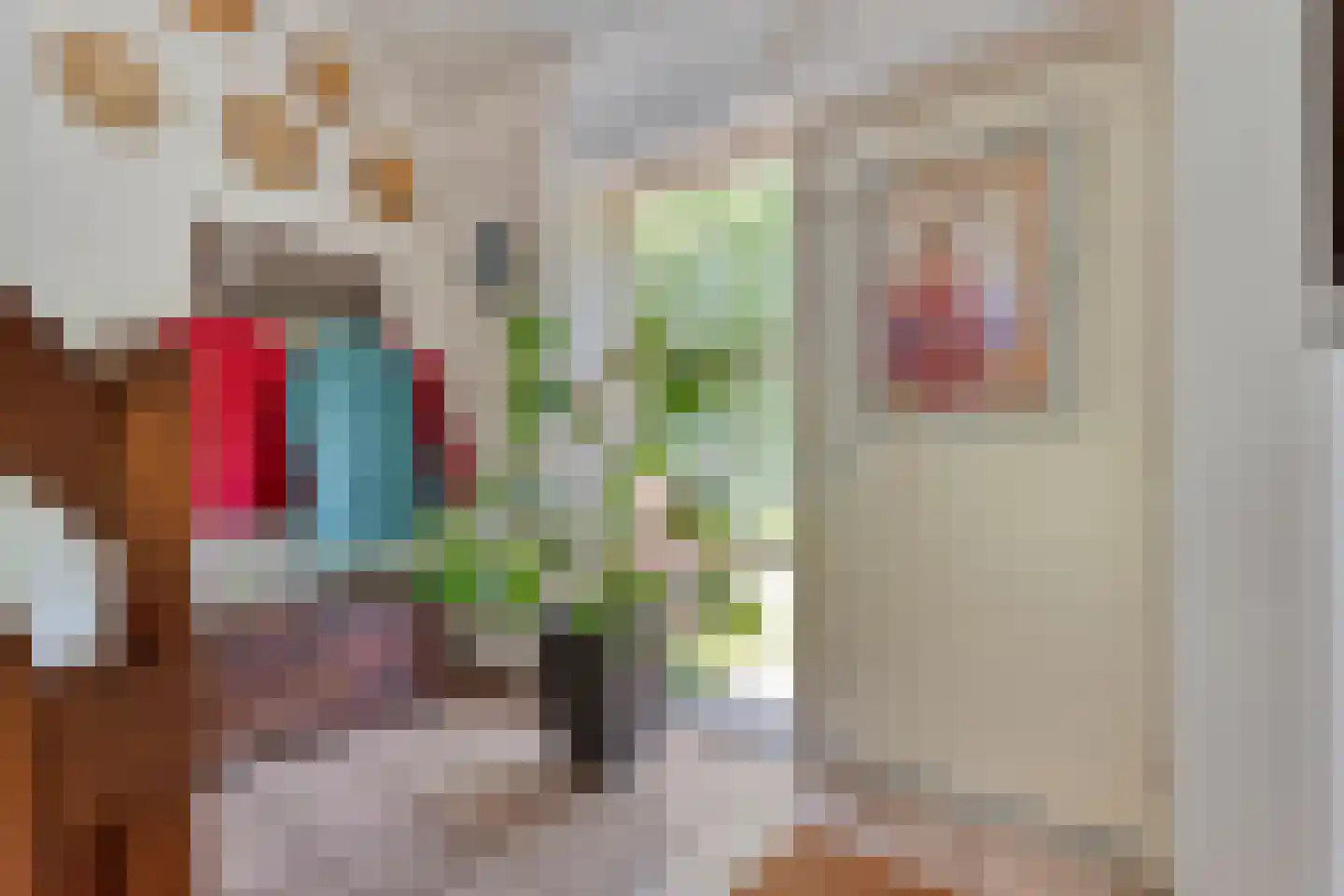 Ruiten A kanaal West V 1 d Ter Apel thumbnail 12