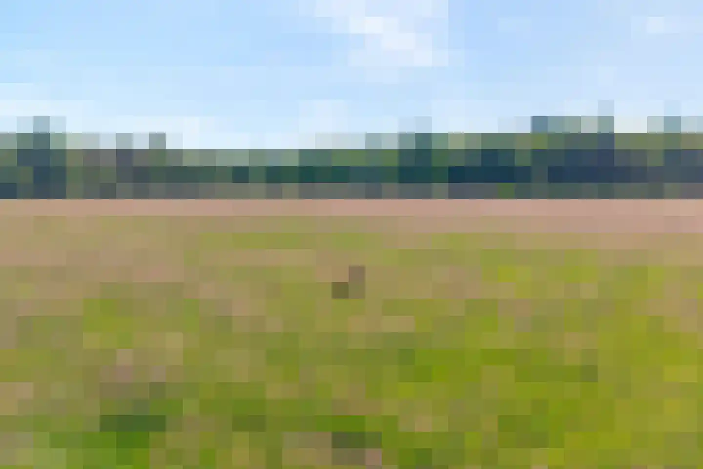 Ruiten A kanaal West V 1 d Ter Apel thumbnail 4