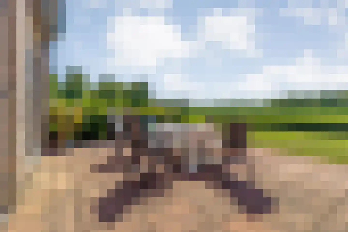 Ruiten A kanaal West V 1 d Ter Apel thumbnail 44
