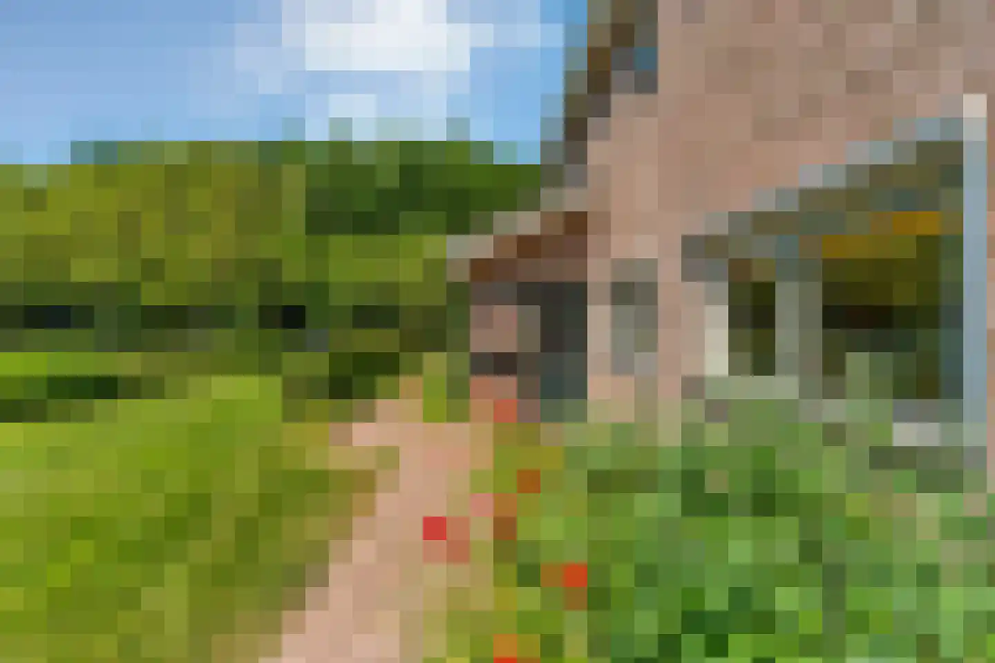 Ruiten A kanaal West V 1 d Ter Apel thumbnail 45