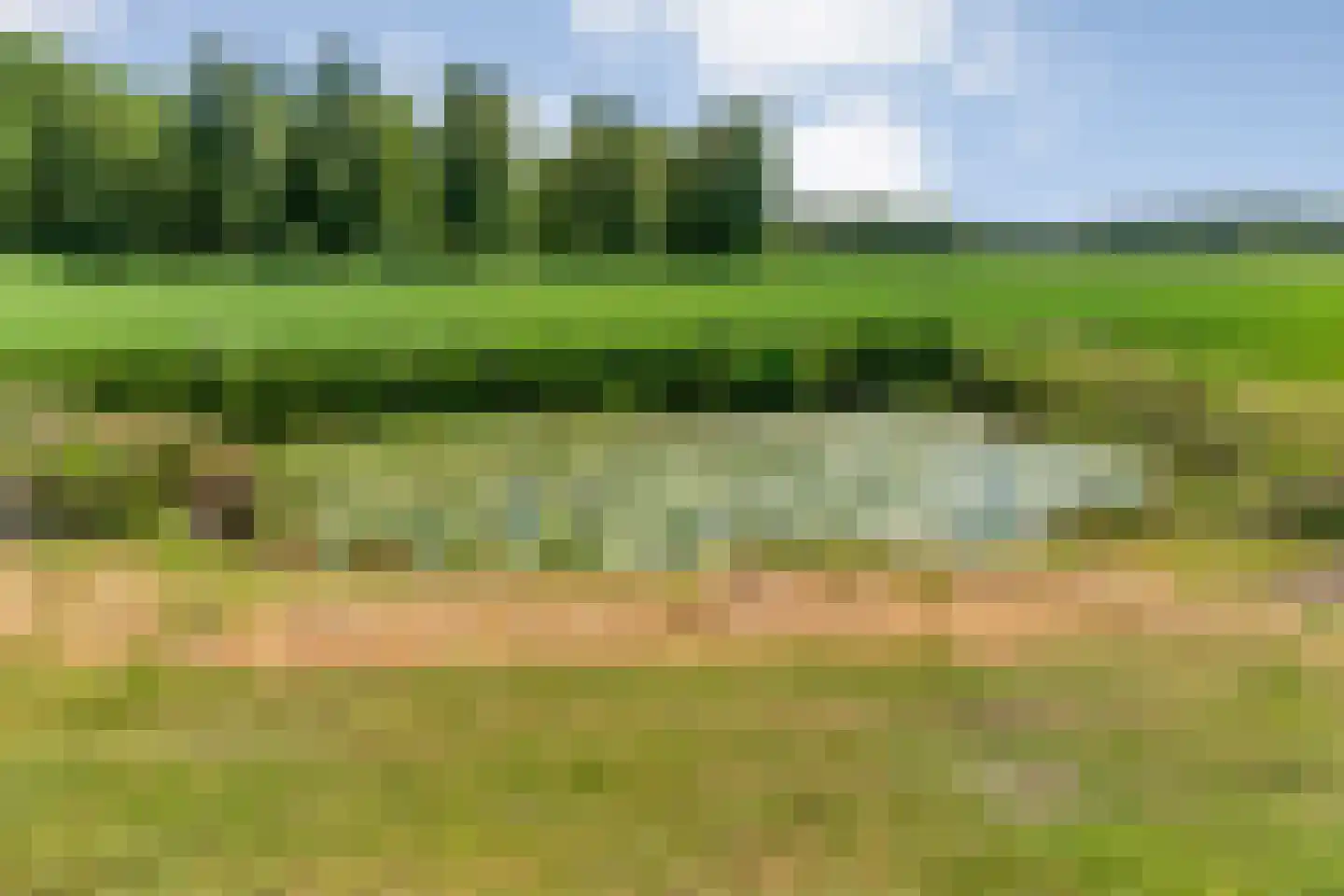 Ruiten A kanaal West V 1 d Ter Apel thumbnail 46