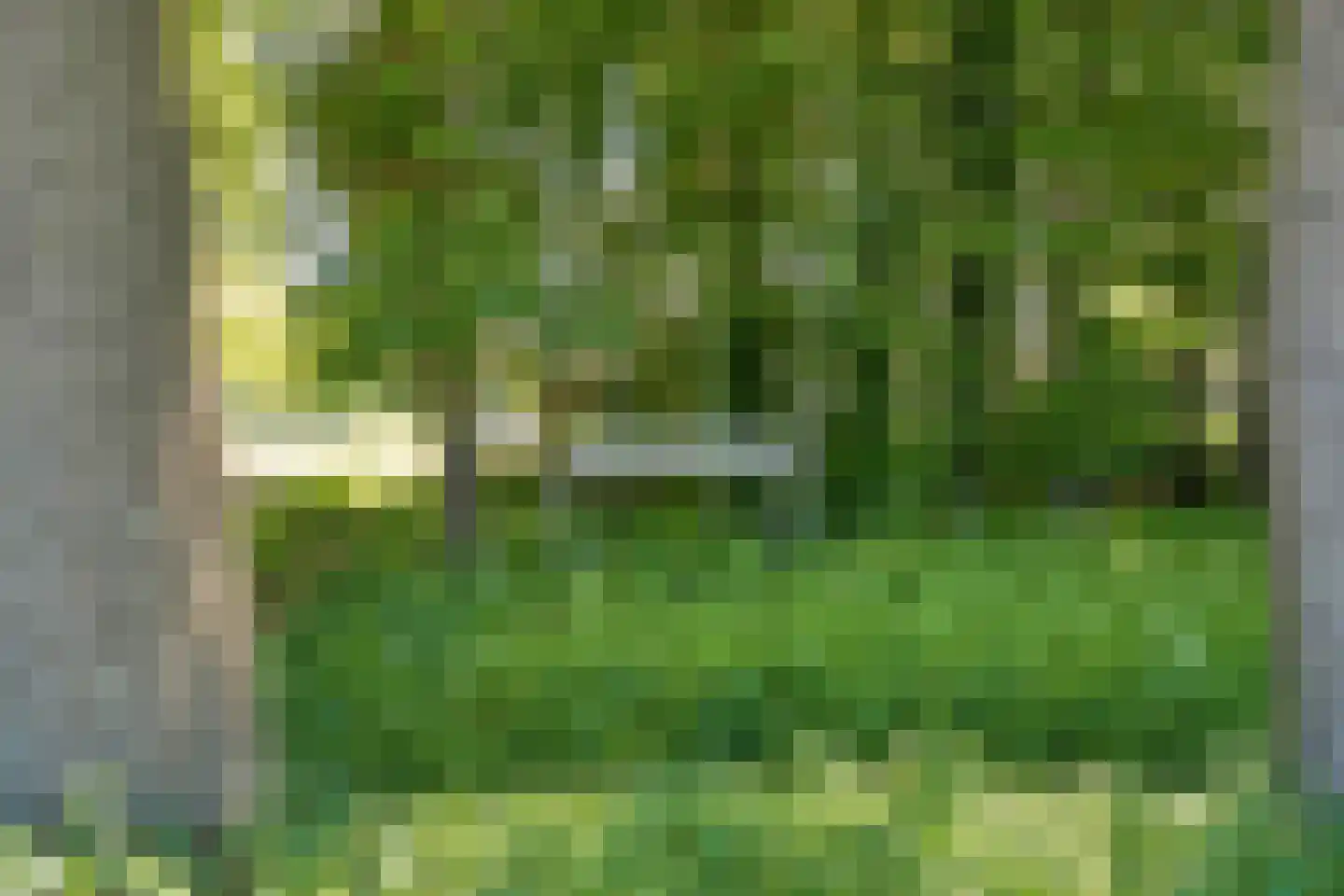 Ruiten A kanaal West V 1 d Ter Apel thumbnail 6