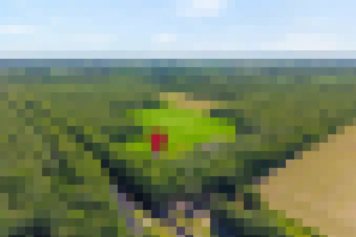 Ruiten A kanaal West V 1 d Ter Apel thumbnail 7