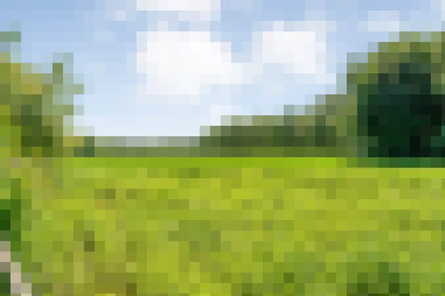 Ruiten A kanaal West V 1 d Ter Apel thumbnail 70
