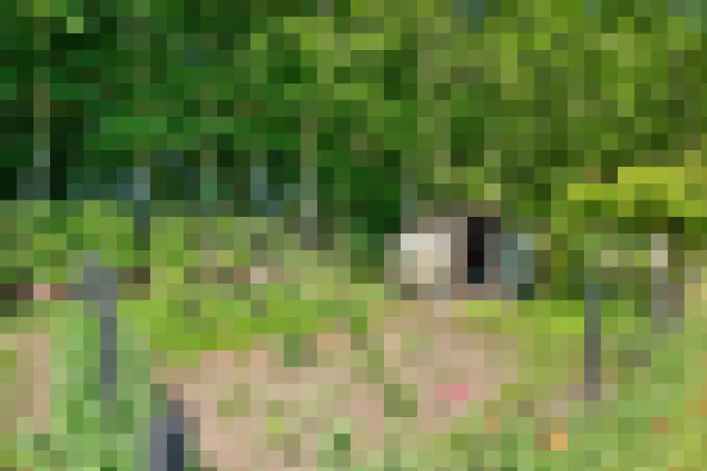 Ruiten A kanaal West V 1 d Ter Apel thumbnail 71