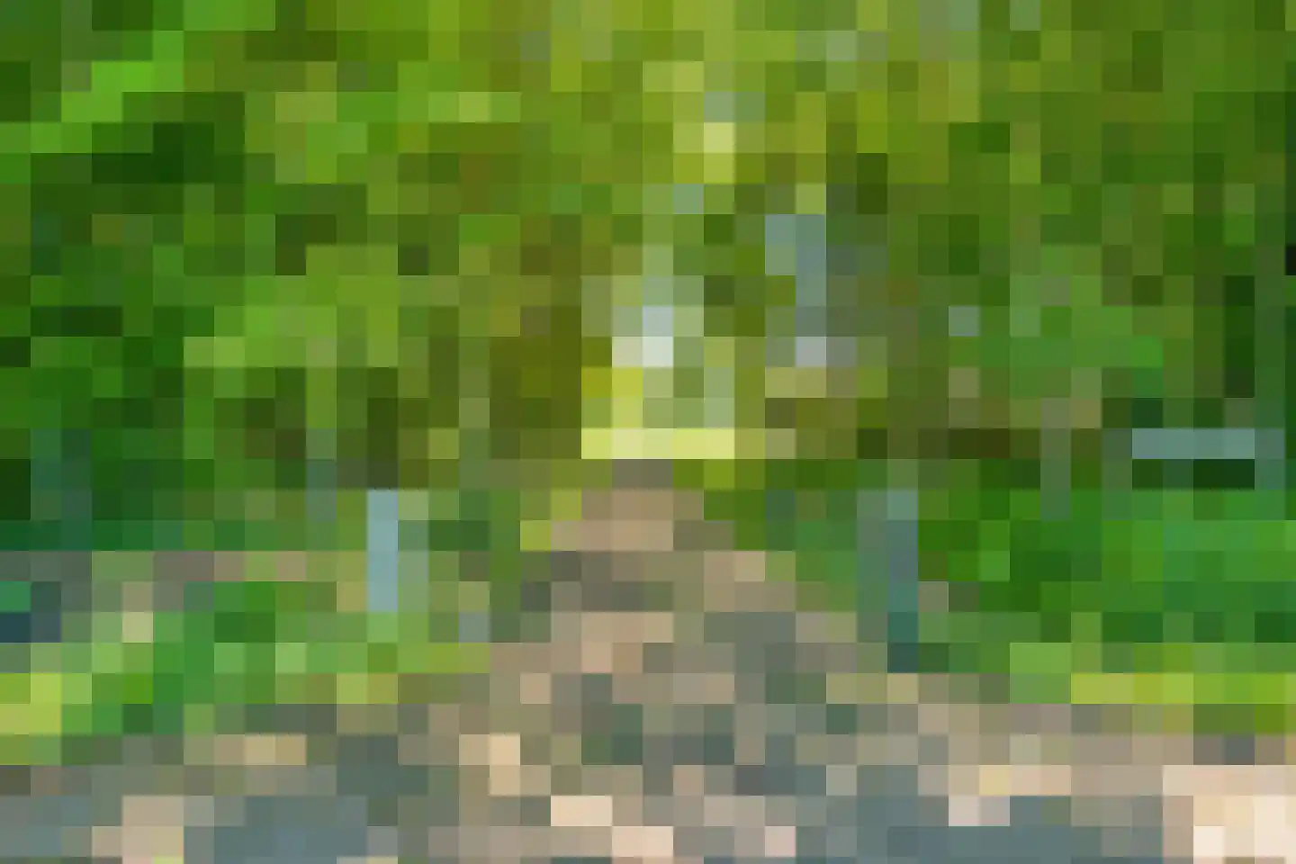 Ruiten A kanaal West V 1 d Ter Apel thumbnail 72